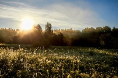 Erken sabah Nehri üzerinde. güzel yaz yatay, Güneş ve sis