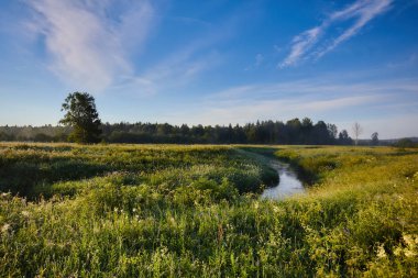 Erken sabah Nehri üzerinde. güzel yaz yatay, Güneş ve sis