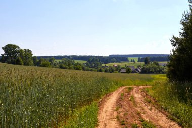 Rusya. Köy görünümü. Yaz kırsal manzara evleri ile