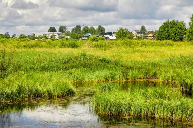 Rusya. Köy görünümü. Yaz kırsal manzara evleri ile