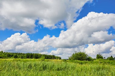 Rusya. Köy görünümü. Yaz kırsal manzara evleri ile