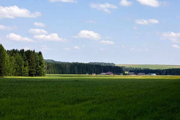 俄罗斯 村庄的看法 夏天农村风景与房子 — 图库照片