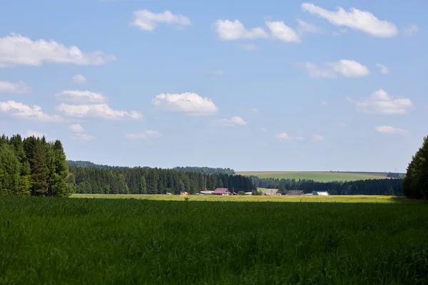 Venäjältä Näkymä Kylään Kesällä Maaseudun Maisema Taloja — kuvapankkivalokuva