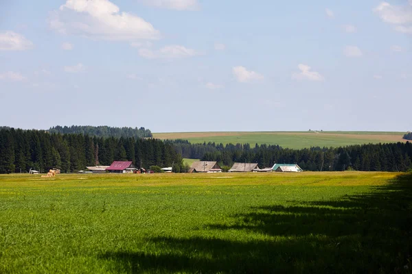 ロシア 村の眺め 家が夏の田園風景 — ストック写真