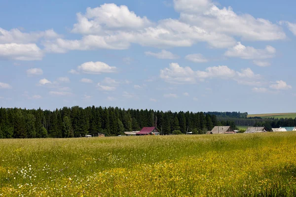 ロシア 村の眺め 家が夏の田園風景 — ストック写真