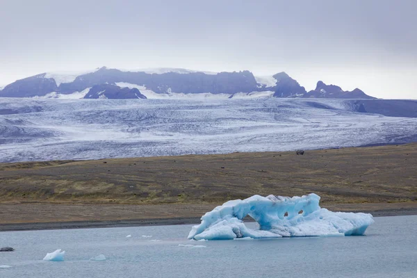 Falaise Glace Avec Une Plage Sable Noir Sur Plage Jokulsarlon — Photo