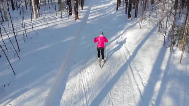 Una Donna Uno Sciatore Rotolare Attraverso Foresta Soleggiato Giorno Inverno — Video Stock
