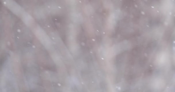 Sneeuw Valt Langzaam Draait Wazig Winter Witte Sneeuw Achtergrond — Stockvideo