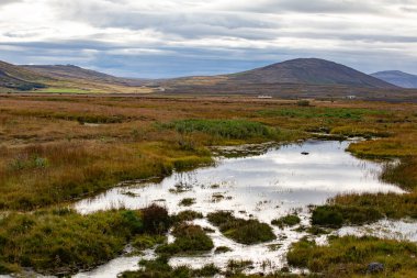 İzlanda. Güzel yaz manzaraları adanın Doğa Manzaralı