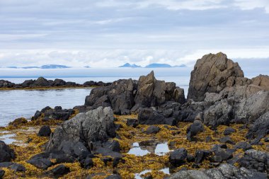 İzlanda. Güzel yaz manzaraları adanın Doğa Manzaralı
