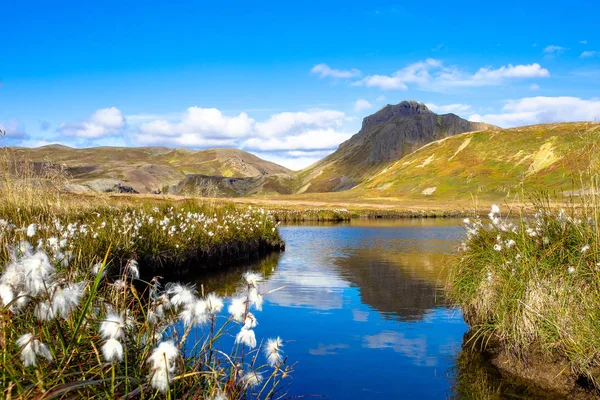 Ισλανδία Όμορφο Καλοκαιρινό Τοπίο Θέα Της Φύσης Του Νησιού — Φωτογραφία Αρχείου