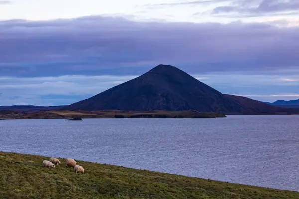 Islandia Krajobrazy Piękne Lato Względu Charakter Wyspy — Zdjęcie stockowe