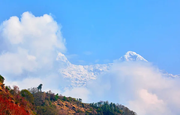 Annapurna Pico Branco Fundo Céu Azul Himalaias Nepal — Fotografia de Stock