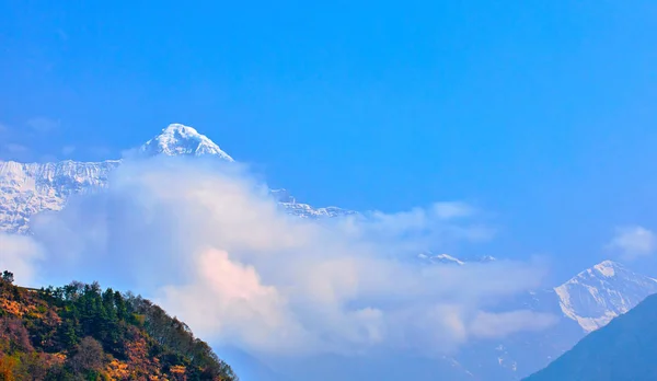 Annapurna Pico Branco Fundo Céu Azul Himalaias Nepal — Fotografia de Stock