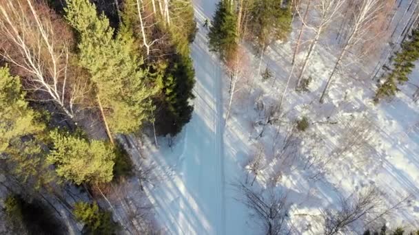 Stock vidéoLes skieurs roulent sur la piste de ski à travers les bois. Vue d'en haut. Photographie aérienne. Journée ensoleillée d'hiver .