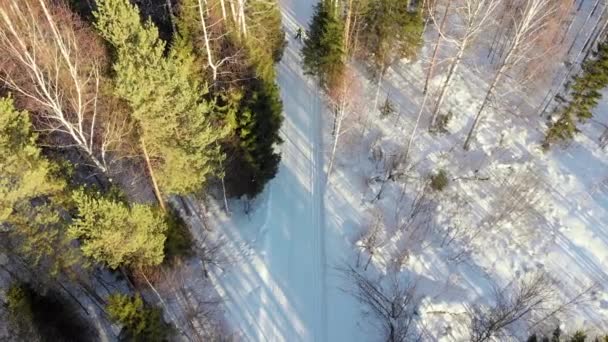 Stock Vídeoskiers Passeio Corrida Esqui Através Floresta Vista Cima Fotografia — Vídeo de Stock