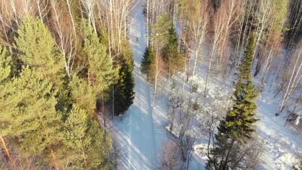 Stock Vidéoles Skieurs Roulent Sur Piste Ski Travers Les Bois — Video
