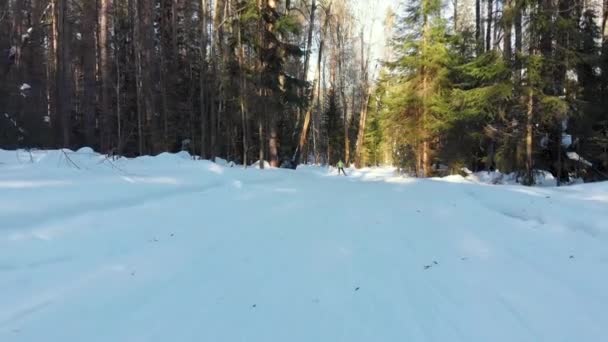 Skiløpere Kjører Gjennom Skogen Skutt Med Quadracopter Sunny Vinterdag – stockvideo