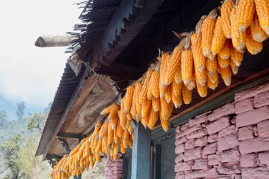 Nepal dağ köylerinin manzarası. Hayat ve yaşam yayla köylerinde sıradan Nepal