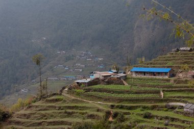 Nepal dağ köylerinin manzarası. Hayat ve yaşam yayla köylerinde sıradan Nepal