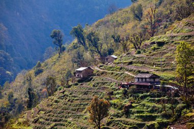 Nepal dağ köylerinin manzarası. Hayat ve yaşam yayla köylerinde sıradan Nepal