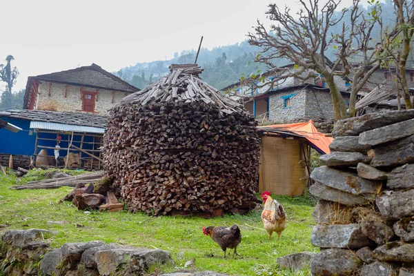 尼泊尔的山村的看法 普通尼泊尔人在高原村庄的生活和生活 — 图库照片