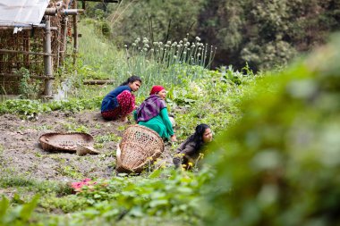 Nepal halkı iş yerinde. Şehir resimleri