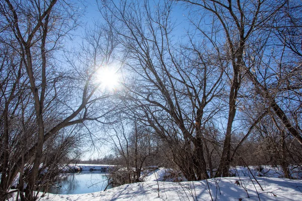 Início Primavera Neve Derrete Inundação Começa Dia Ensolarado Primavera — Fotografia de Stock