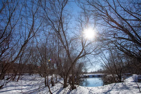 Začátek Jara Sníh Taje Povodeň Začíná Slunečný Jarní Den — Stock fotografie