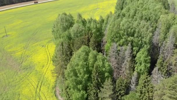 Topputsikt Över Blommande Fält Och Skog Skytte Från Quadcopter — Stockvideo