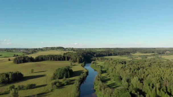 Top Uitzicht Kronkelende Rivier Stroomt Door Velden Bossen — Stockvideo