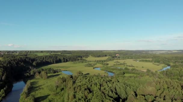 Vista Superior Del Sinuoso Río Que Fluye Través Campos Bosques — Vídeos de Stock