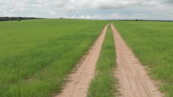 Strada Rurale Che Attraversa Prati Verdi Campi Giornata Estiva Soleggiata — Video Stock