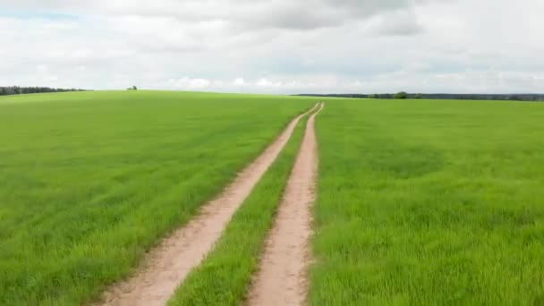 穿过绿色草地和田野的乡村道路 阳光明媚的夏日 — 图库视频影像