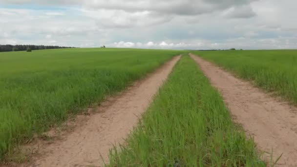 Landstraße Die Durch Grüne Wiesen Und Felder Führt Sonniger Sommertag — Stockvideo