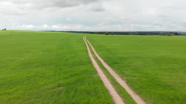 Estrada Rural Que Atravessa Prados Campos Verdes Dia Verão Ensolarado — Vídeo de Stock