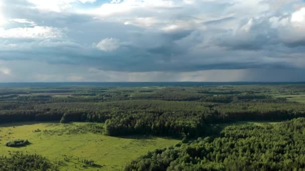 Прекрасний Вид Зверху Зелені Поля Аерофотозйомка Квадрокоптера — стокове відео