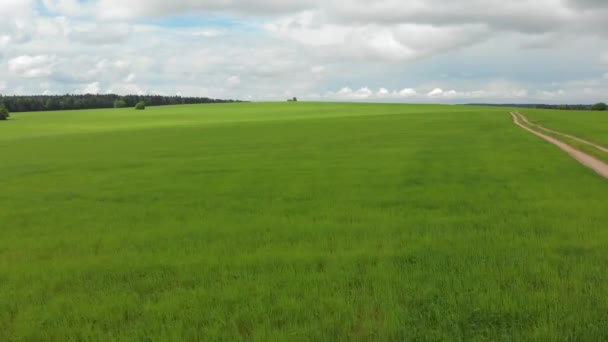 緑の牧草地や野原を通る田舎道 晴れた夏の日 — ストック動画