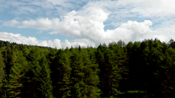 Vlucht Bergen Bossen Rivier Quadrocopter Luchtfoto Grafie — Stockvideo