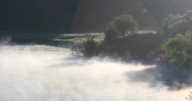 Nehirde sis var. Güneşli yaz sabahı