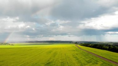 Gökkuşağı görünümü ile sarı alanlar üzerinde uçan. Güneşli yağmurlu yaz günü. Quadcopter hava fotoğrafçılığı