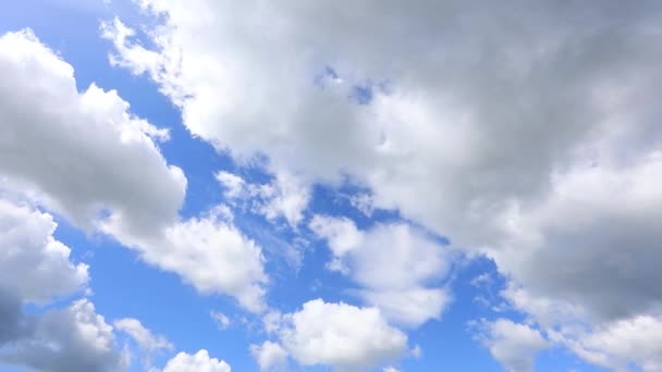 雲が青空を横切って走っている 時間の経過 川の下で流れ 森が成長する — ストック動画