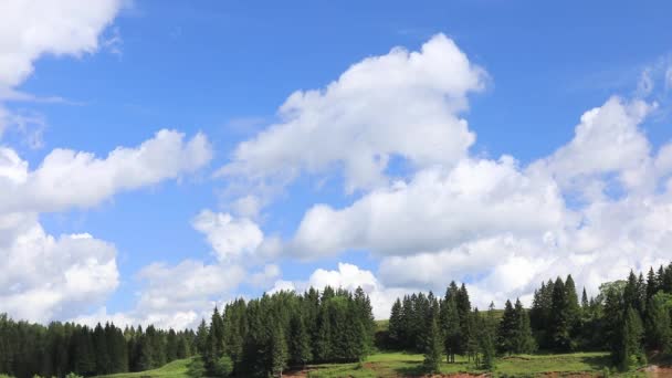 Nuvens Atravessam Céu Azul Desfasamento Temporal Abaixo Rio Flui Floresta — Vídeo de Stock