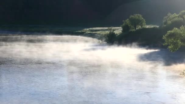 Туман Реке Солнечное Летнее Утро — стоковое видео