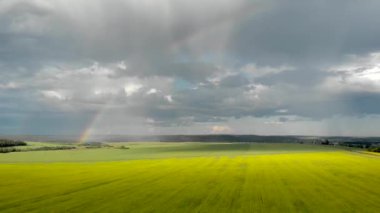 Gökkuşağı görünümü ile sarı alanlar üzerinde uçan. Güneşli yağmurlu yaz günü. Quadcopter hava fotoğrafçılığı
