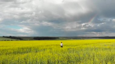 Genç bir kadın, sarı bir alandan bir gökkuşağına doğru koşuyor. Güneşli yağmurlu bir gün. Quadcopter hava fotoğrafçılığı