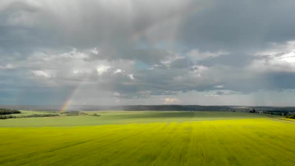 Fliegen Über Die Gelben Felder Mit Blick Auf Den Regenbogen — Stockvideo