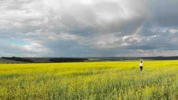 若い女性が虹に向かって黄色い野原を駆け抜ける 晴れた雨の日 クワッドコプターからの航空写真 — ストック動画