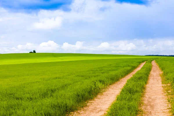 Estrada Rural Que Atravessa Prados Campos Verdes Dia Verão Ensolarado — Fotografia de Stock