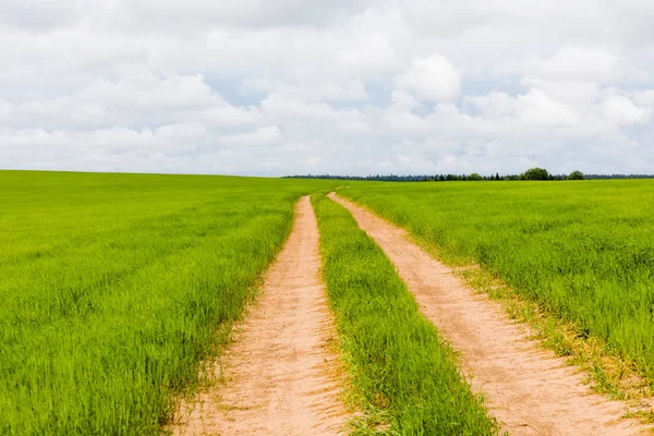 Carretera Rural Que Atraviesa Verdes Prados Campos Día Soleado Verano — Foto de Stock